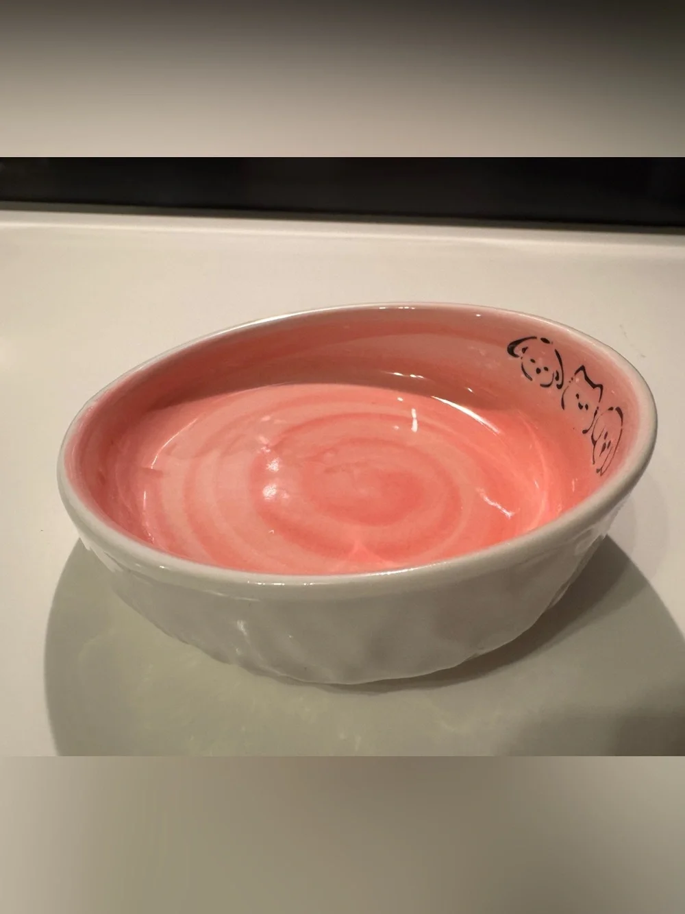 Tilted Pet Food Bowl